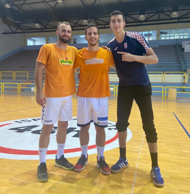 alilovic mandic buntic 620